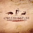 Owls By Nature