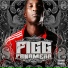 Figg Panamera feat. Cash Out