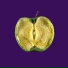 Zeal & Ardor