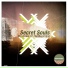 Secret Souls