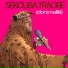 Sekouba Traoré