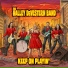 The Halley DeVestern Band