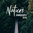 Sounds of Nature Relaxation