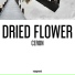 Dried Flower