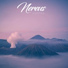 Nereus