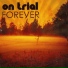 On Trial