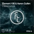 Aaron Cullen, Element 108