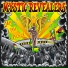 Mystic Revealers