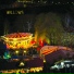 Willows