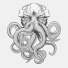 Electric Octopus