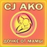 CJ AKO