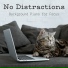 Relaxing BGM Project