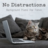 Relaxing BGM Project