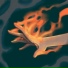 Demonit