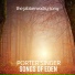 Porter Singer, Songs Of Eden
