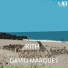 David Marques