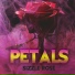Sizzle Rose