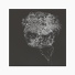 David Toop