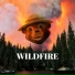 Rod-Drick