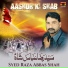 Syed Raza Abbas Shah