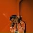 Manu Crooks
