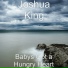 Joshua King