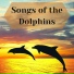 Best Relaxing SPA Music