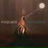 Fool's Ghost