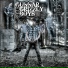 Gunnar & the Grizzly Boys