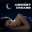 Good Night Unit, Bedtime Stories Unit