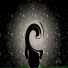 HiddenL