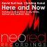 David Rull feat Christina Kokai