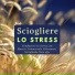 Pura Meditazione Stress