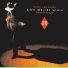 Los Musicales, David Lee Garza