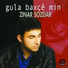 Zınar Sozdar