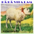 Tomteblossarna, Tomte Nissarnas Orkester
