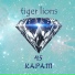 tiger lions