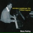 Jermaine Landsberger Trio, Biréli Lagrène