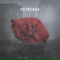 Phinehas