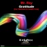 Mr Roy (Italy)