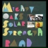 Mighty Oaks Solar Strength Band