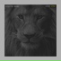 King Ital Rebel feat. Teacha Dee