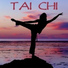 Tai Chi Music Institute