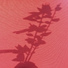 Ultracrush