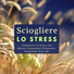 Pura Meditazione Stress