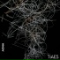 TIAES