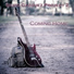 Silvio Gazquez Project