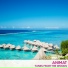 Animat