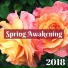 Spring Awakening