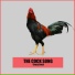 Crazy Cock